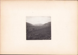 Valea Cernei La Toplița, Județul Hunedoara, Fotografie De Emmanuel De Martonne, 1921 G42N - Lieux