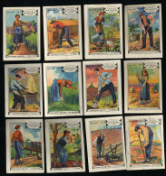 Meurisse - Ca 1930 - 83 - Instruments Agraires, Farm Tools - Full Serie (no 12 Not Good Quality) - Andere & Zonder Classificatie