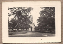 CPSM 37 - LE LIEGE - Le Liège - Château Du Courbat - Maison De Repos De L'A.M.A.S. - La Chapelle - Autres & Non Classés