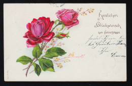 Rot Rosa Rosen Glückwunsch Geburtstag Kirchsteinbek / Hamburg 30.9. + 1.10.1904 - Other & Unclassified