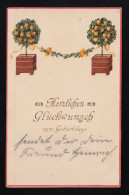 Orangenbäumchen Bänder Geschmückt Glückwunsch Geburtstag Gelsenkirchen 29.8.1905 - Other & Unclassified