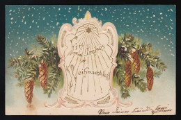 Weihnachtsstern Schnee Reisig, Ein Frohes Weihnachtsfest, Stubenberg 22.12.1902 - Other & Unclassified