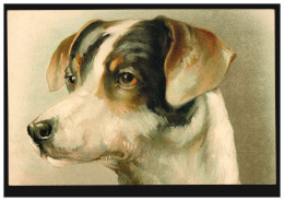 Tiere-AK Hundeportrait, Ungebraucht, Um 1920 - Honden