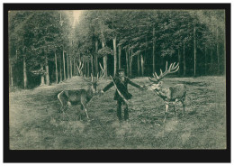 Foto-AK Tiere: Jäger Füttert Zwei Hirsche, MARTINRODA Um 1910 - Andere & Zonder Classificatie