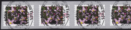3094 Blume 28 Cent 2014 Sk 5er-Streifen Aus 500er UNGERADE Nummer, EV-O Bonn - Rolstempels