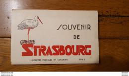 STRASBOURG SOUVENIR 10 CARTES POSTALES - Strasbourg