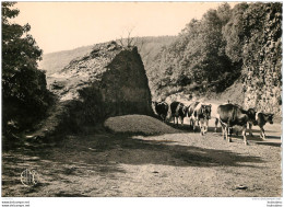 TOURNAVAUX  LA ROCHE  AUX CORPLAS - Autres & Non Classés