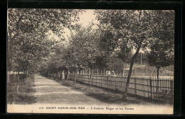 CPA Saint-Aubin-sur-Mer, L`Avenue Roger Et Les Tennis  - Saint Aubin