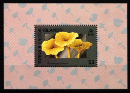 Turks Und Caicos Inseln Block 105 Postfrisch Pilze #HR867 - Turcas Y Caicos