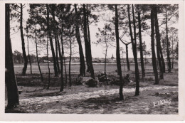 VIEUX-BOUCAU-les-BAINS - Vieux Boucau