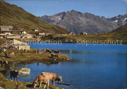 12458495 Oberalppass Restaurant Piz Calmot Piz Ner Oberalppass - Sonstige & Ohne Zuordnung