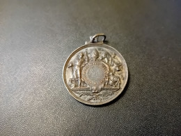 Médaille De La Sociéte Royale Agricole Belges (Tinlot Et Huy) - Gettoni Di Comuni