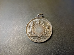 Médaille De La Sociéte Royale Agricole Belges (Tinlot Et Huy) - Gemeentepenningen