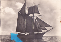 Nyy-   Cpsm  L'ETOILE 506 - Sailing Vessels