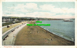 R594742 Paignton. The Esplanade. Pictorial Stationery. Peacock. Autochrom. 1904 - Welt