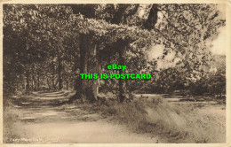 R594802 Crieff. Lady Mary Walk. M. And L. National Series. 1947 - Monde