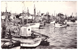 CROIX DE VIE - Le Port (carte Photo) - Other & Unclassified