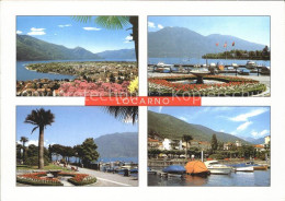 12366895 Locarno TI Panorama Hafen Blumeninsel Bootsliegeplatz  - Sonstige & Ohne Zuordnung