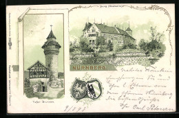 Lithographie Nürnberg, Tiefer Brunnen, Burg, Wappen  - Nürnberg