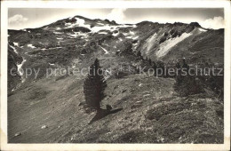 12338185 Tannenbodenalp Gegen Maskenkamm Und Zieger Tannenbodenalp - Autres & Non Classés