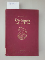 Die Lebewelt Unserer Trias : - Other & Unclassified
