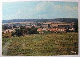 BELGIQUE - LUXEMBOURG - SAINTE-ODE - AMBERLOUP - Panorama - Sainte-Ode