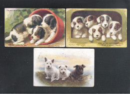 3 OUDE POSTKAARTEN MET HONDEN (2 Scans)   (14.680) - Hunde