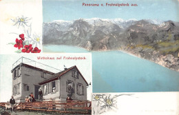 FROHNALPSTOCK (SZ) Panorama - Wirthshaus - Verlag F. Beeler 721 - Andere & Zonder Classificatie