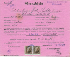Früher Grenzschein, Grenzschutzkommando Mittenwald Aus München, 1918 - Brieven En Documenten