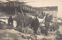 Norway - Fra Livet I Fisketiden - Cod Fish Industry - Publ. C. A. Erichsen 671 - Norway