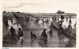 Mali - Scène De Pêche - Ed. G. Lerat 17 - Malí