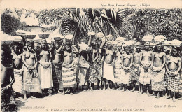 Côte D'Ivoire - NU ETHNIQUE - Bondoukou - Récolte Du Coton - Ed. G. Kanté - J. Rose 5 - Costa De Marfil