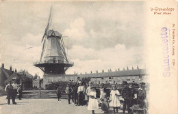 DEN HAAG (ZH) Wind Molen - Uitg. Dr. Trenkler 12291 - Den Haag ('s-Gravenhage)