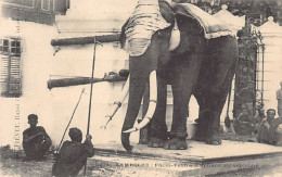 Cambodge - PHNOM PENH - Eléphant Carapaçonné - Ed. V. Fiévet 74 - Cambodja