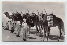 Algérie - Méharistes En Prière - Ed. Photo-Africaines 5608 - Scènes & Types