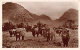 Scotland Argyllshire - GLEN COE The Invernggan Highlanders - Argyllshire