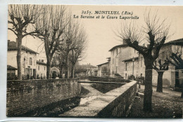 -01-AIN - MONTLUEL - La Sereine Et Le Cours Laportelle - Montluel