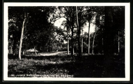 AK Asuncion, Jardin Botanico  - Paraguay