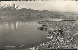 12318025 Weggis Vierwaldstaettersee Kurort Vierwaldstaettersee Pilatus Fliegerau - Andere & Zonder Classificatie