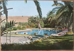 ISRAEL KIBBUTZ DEGANIA TIBERIAS GALILEE SEA LAKE KINNERET POSTCARD PHOTO CARD ANSICHTSKARTE CARTOLINA CARTE POSTALE PC - Israel