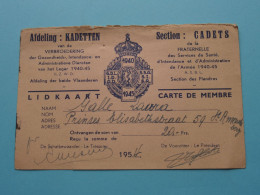 Afd./Section KADETTEN / CADETS 1940-1945 Verbroedring / Fraternelle ( Zie Scans ) 1954 > GALLE Laura St. Amandsberg ! - Lidmaatschapskaarten