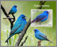 SIERRA LEONE 2023 MNH Indigo Birds Indigovögel S/S – IMPERFORATED – DHQ2418 - Andere & Zonder Classificatie