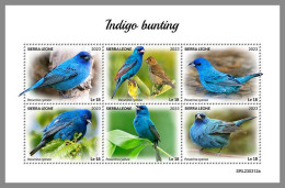 SIERRA LEONE 2023 MNH Indigo Birds Indigovögel M/S – IMPERFORATED – DHQ2418 - Sonstige & Ohne Zuordnung