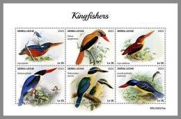 SIERRA LEONE 2023 MNH Kingfishers Eisvögel M/S – IMPERFORATED – DHQ2418 - Andere & Zonder Classificatie