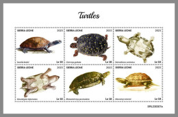SIERRA LEONE 2023 MNH Turtles Schildkröten M/S – IMPERFORATED – DHQ2418 - Tortues