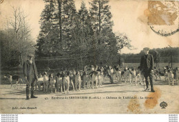 CHATEAU DE TARDAIS ENVIRONS DE SENONCHES LA MEUTE CHASSE A COURRE - Jacht