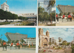 TUNIS  (  TUNISIE )  LOT   DE  16  C  P  M  DIVERSES    ( 24 /: 5  / 10  ) - Tunisie