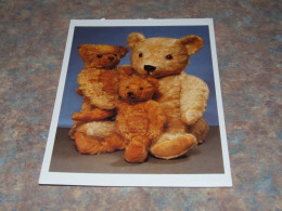 75287-      CA. 11,5 X 17 CM. CARD - BEREN / BEARS / BÄREN / OURS / ORSI / TEDDYBEARS - Bears