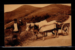 Pays Basque - Attelage Basque - - Autres & Non Classés