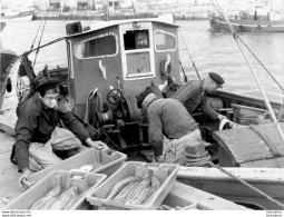 PORT DE PECHE BRETON SECTEUR GUILVINEC BATEAUX DE PECHE ET PECHEURS   PHOTO ORIGINALE  FORMAT 24X18CM ANNEES 60 R2 - Plaatsen